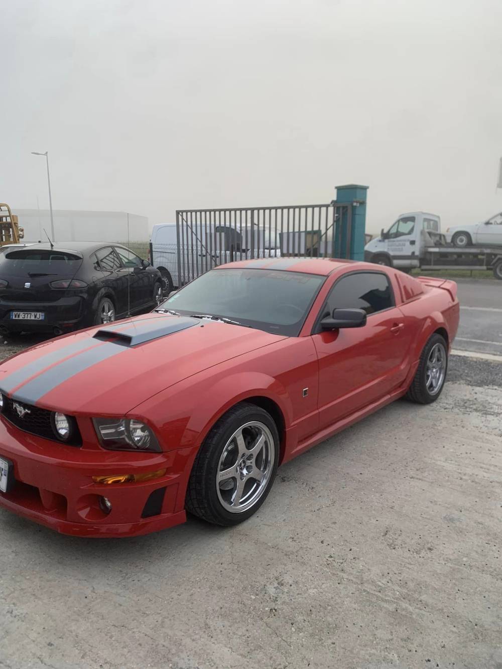 mustang roush 2006 - 6